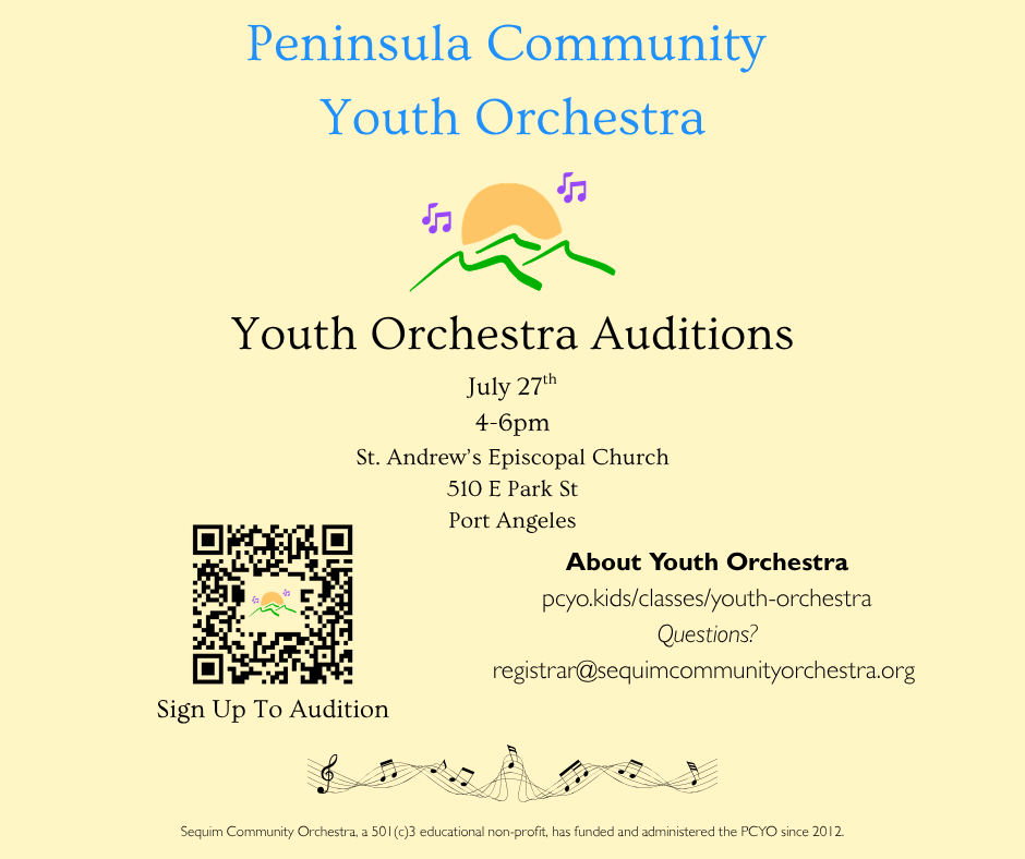 Youth Orchestra Auditions