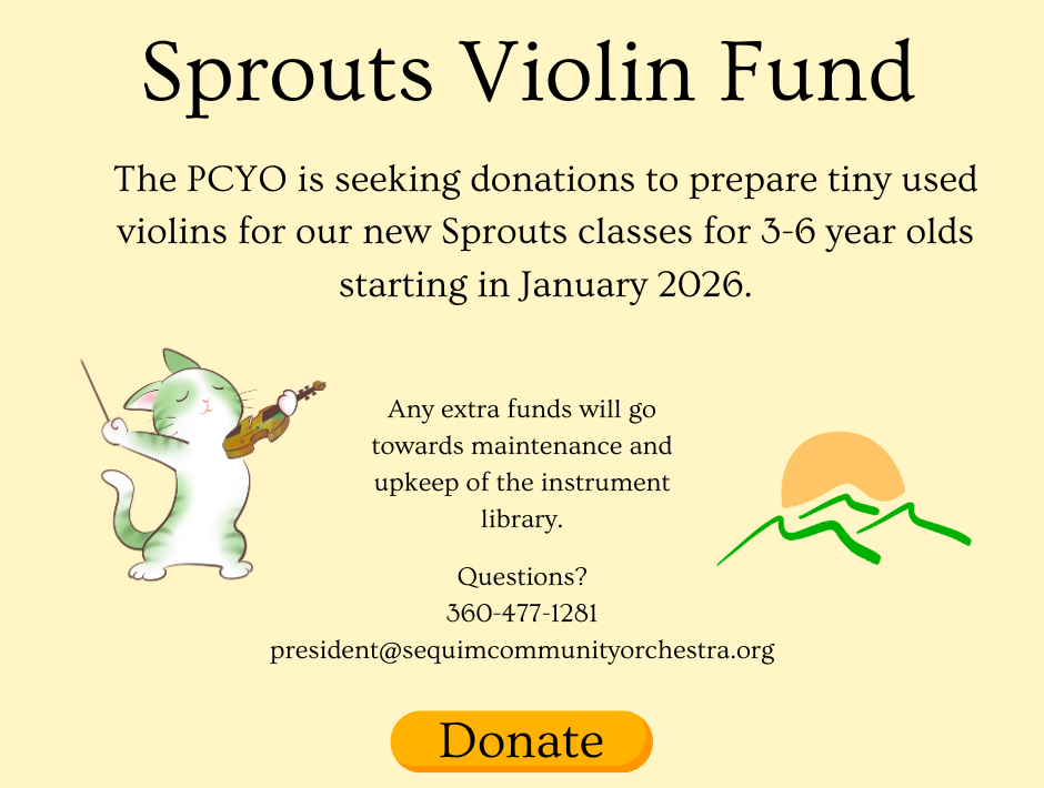 Sprouts Violin Fund